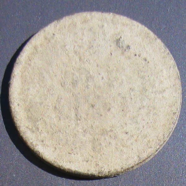 A-Beautiful-Indian-Head-Cent-In-The-Woods